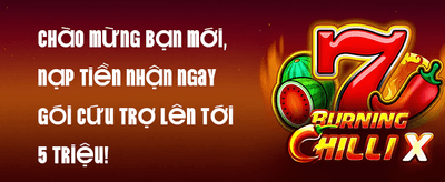 Hoàn Trả Hàng Ngày 2%